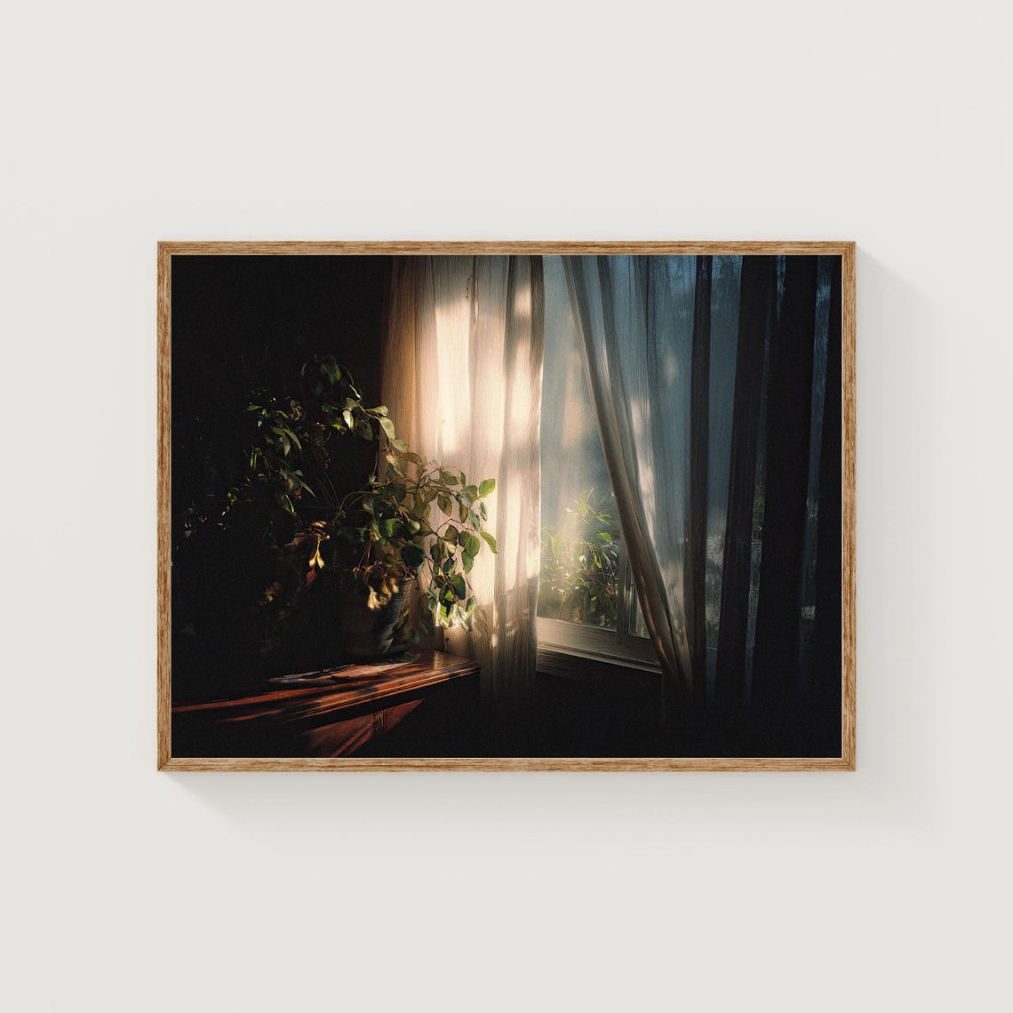 Sunlit Window Sheer Curtains Houseplants Moody Light Photo Poster