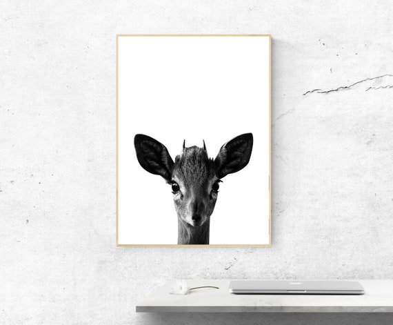Baby Antelope Animal Poster Instant Nature Home Decor Wall Art Nursery Print Cute Design