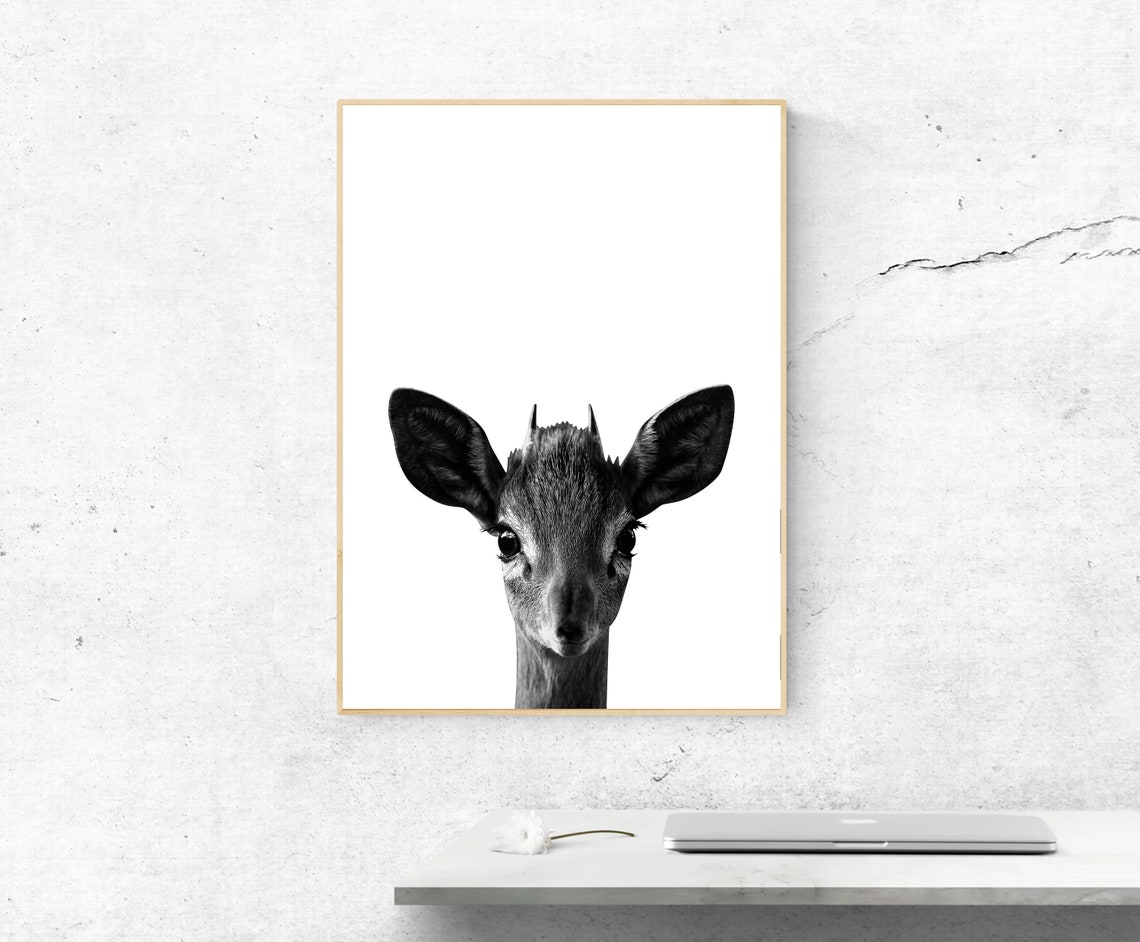 Black and White Baby Deer Fawn Peeking Minimalist Photo Poster
