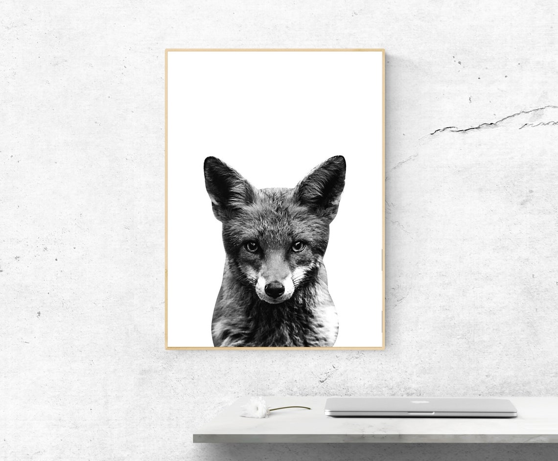 Minimalist Black And White Fox Portrait Art Photography Poster