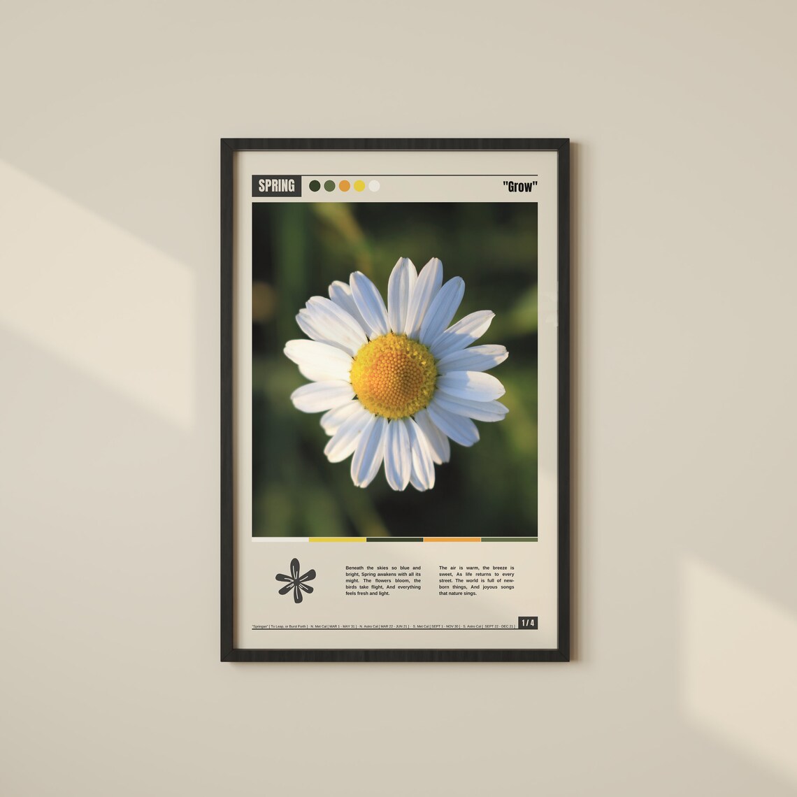 Fresh Spring Daisy Grow Botanical Seasonal Photography Poster