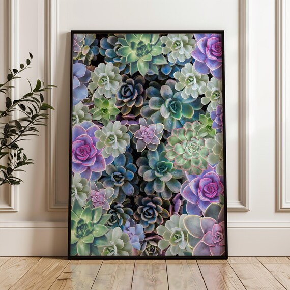 Colorful Succulent Garden Wall Art Botanical Poster Vibrant Echeveria And Rosette Succulents For Home Decor