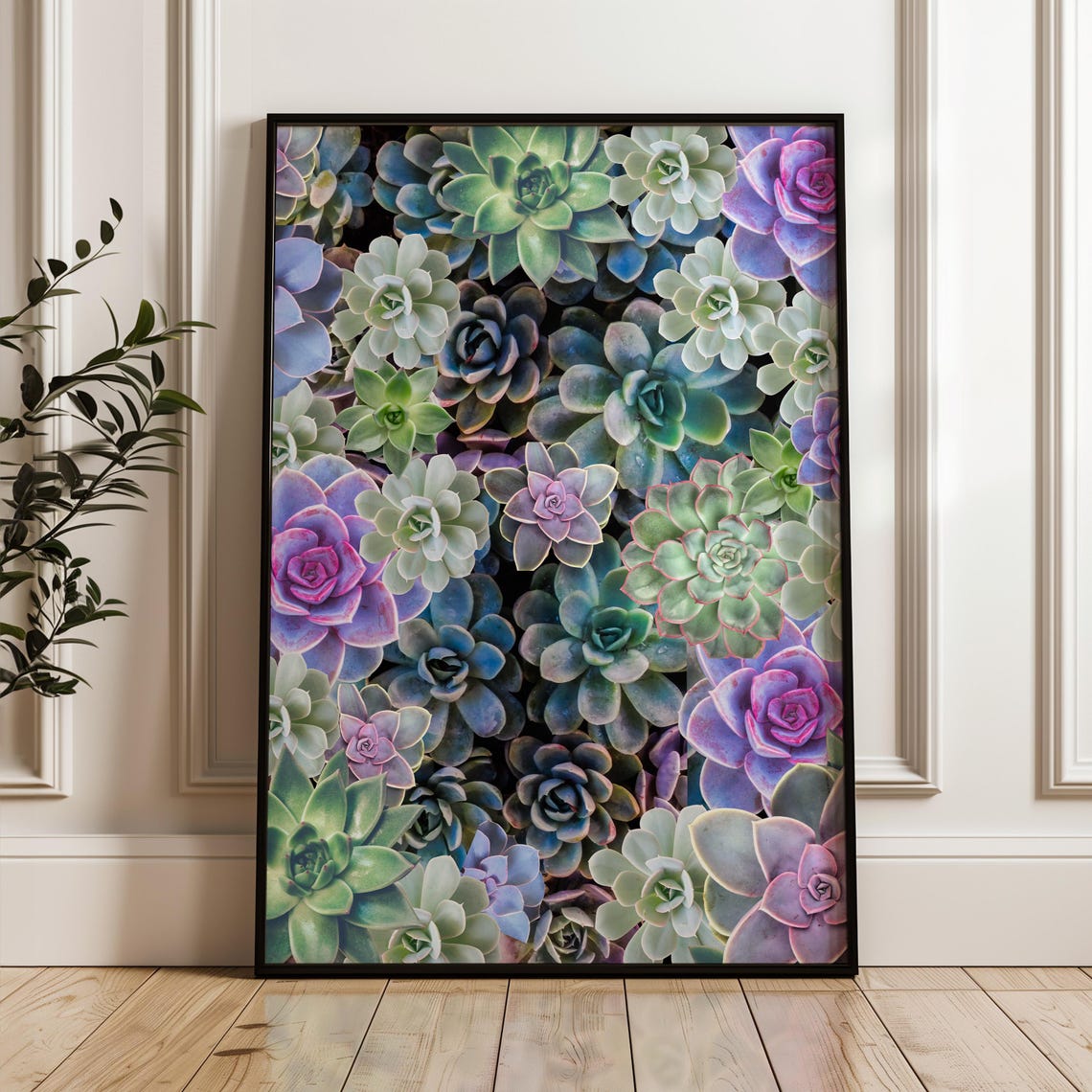 Colorful Succulent Garden Wall Art Botanical Poster Vibrant Echeveria And Rosette Succulents For Home Decor