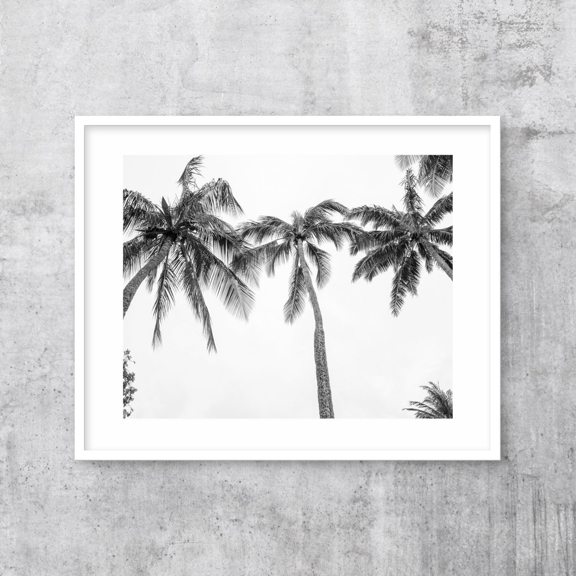 Black and White Palm Trees Viewed From Below Photo Art Poster - Image 2