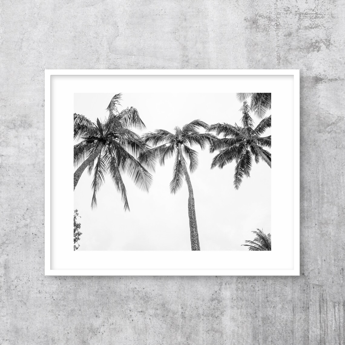 Black White Three Palm Trees Print Hawaiian Art Beach Coastal Wall Art Decor Large Palm Tree Poster Botanical - Image 2