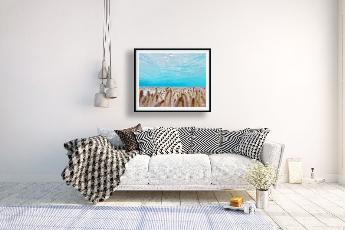 Underwater Seagrass Field Turquoise Water Serene Photo Poster - Image 2