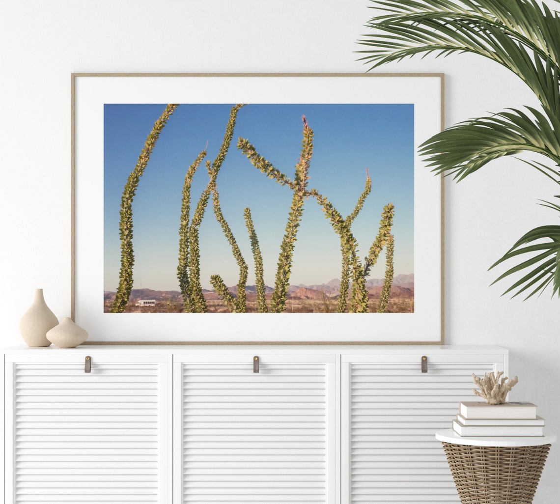 Ocotillo Cactus Plants Standing Tall in a Desert Landscape Poster - Image 3