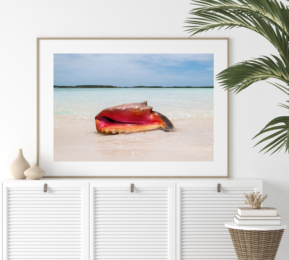 Seashell Print, Bahamas Conch Shell Travel Poster