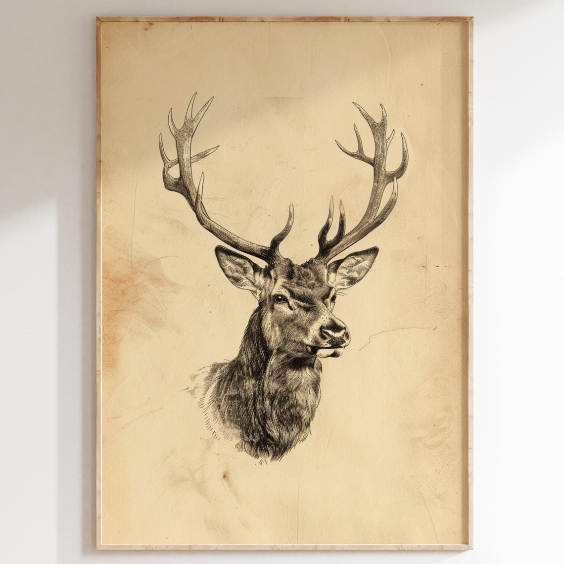 Antique Stag Head Engraving Vintage Deer Sketch Hunting Wall Art