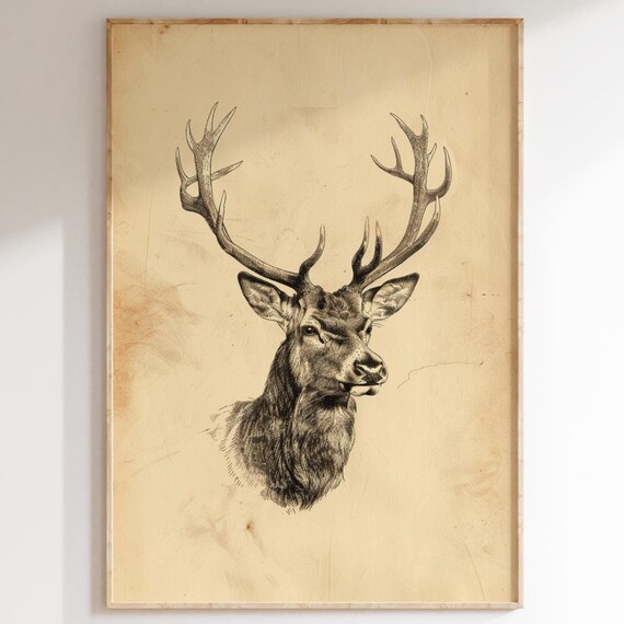 Antique Stag Head Engraving Vintage Deer Sketch Hunting Wall Art
