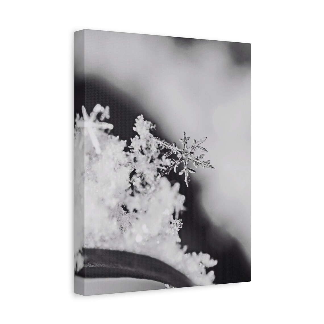 Snowflake Macro Black and White Crisp Winter Photography Poster