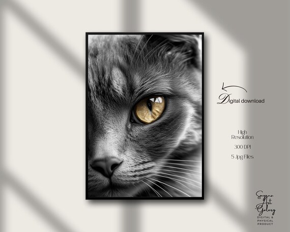 Black And White Cat Portrait Golden Eye Close Up Photo Poster