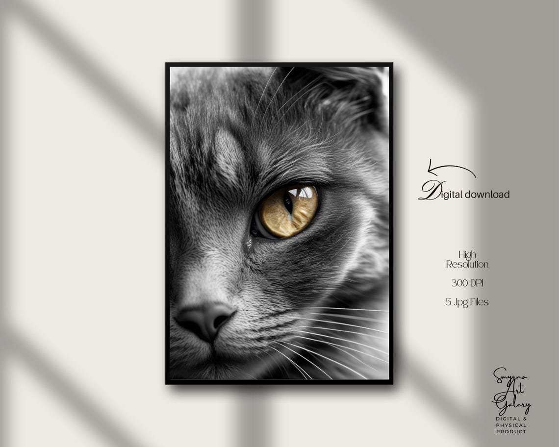 Black And White Cat Portrait Golden Eye Close Up Photo Poster