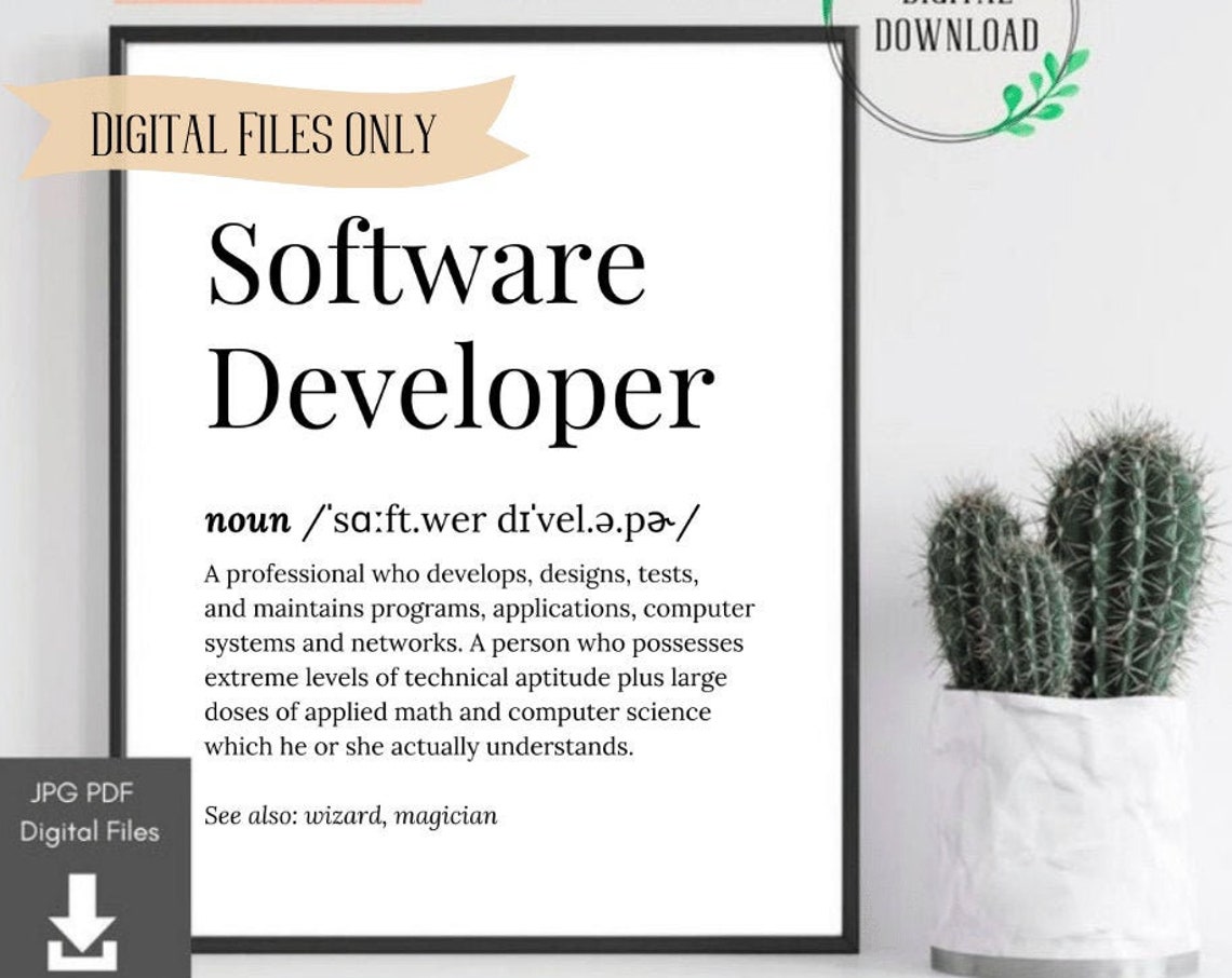 Software Developer Funny Dictionary Definition Graduation Gift Poster