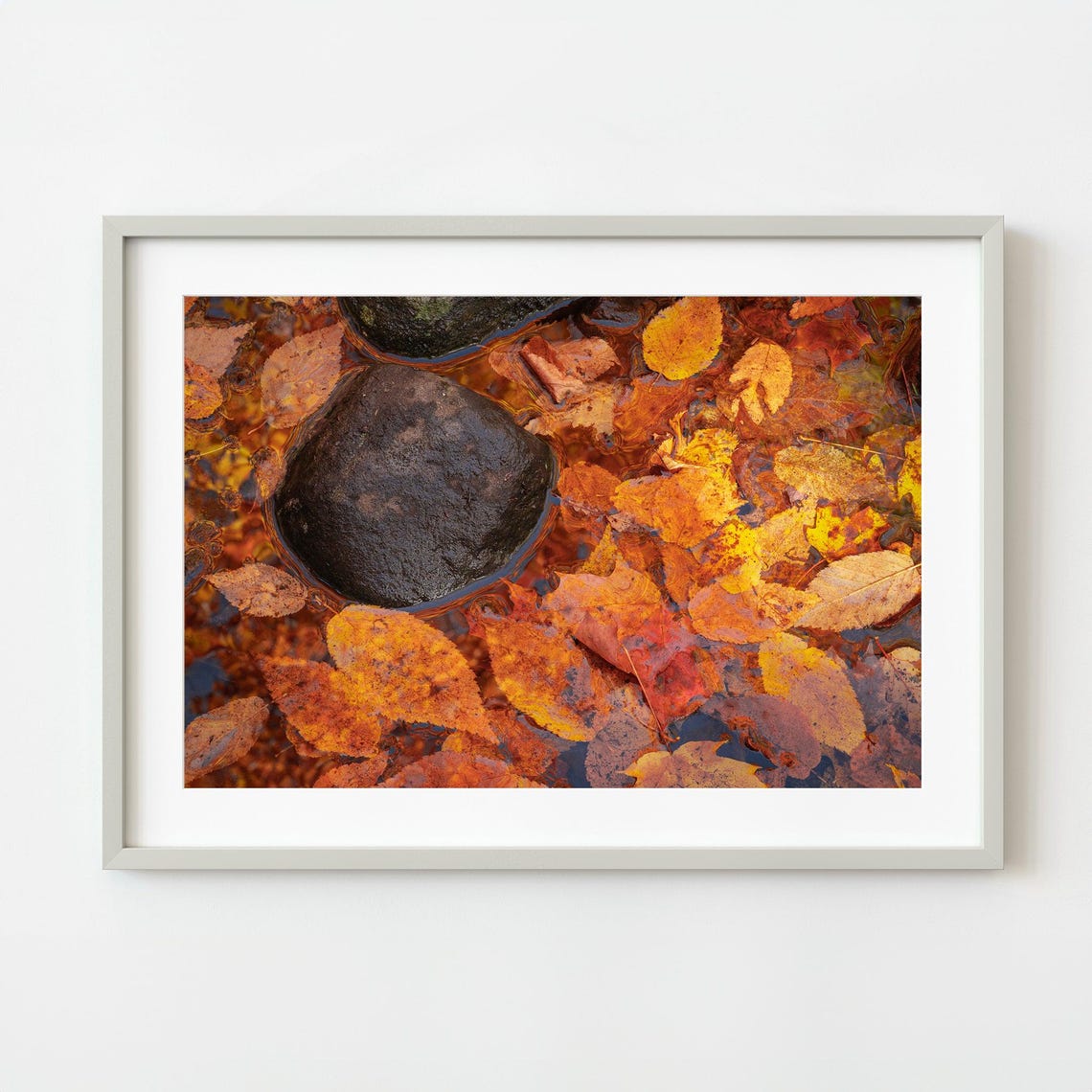 Autumn Leaves Floating in Clear Stream Nature Close Up Photo Poster