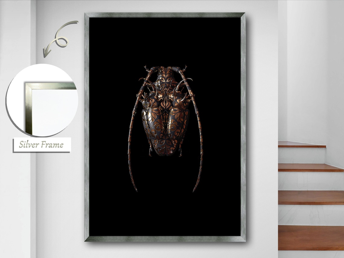 Elegant Antennae Of Nature Insect, Nature Decor - Image 2