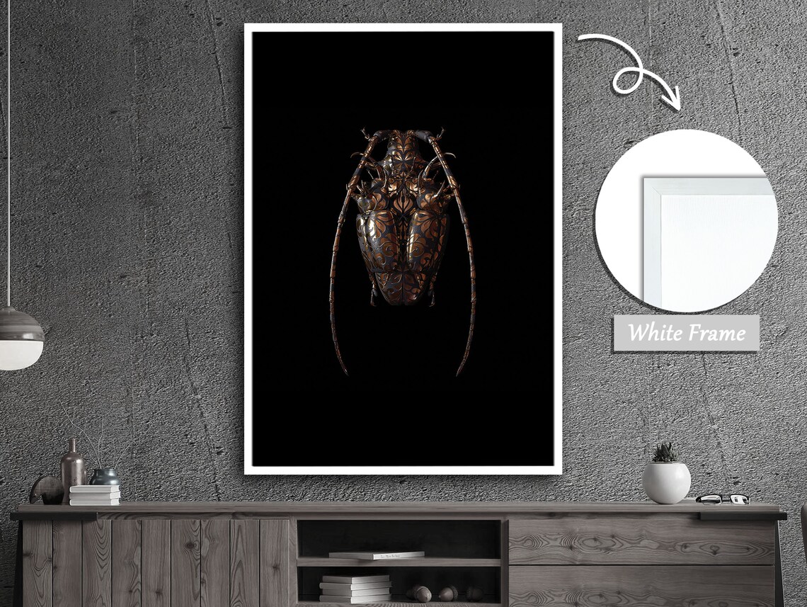 Elegant Antennae Of Nature Insect, Nature Decor