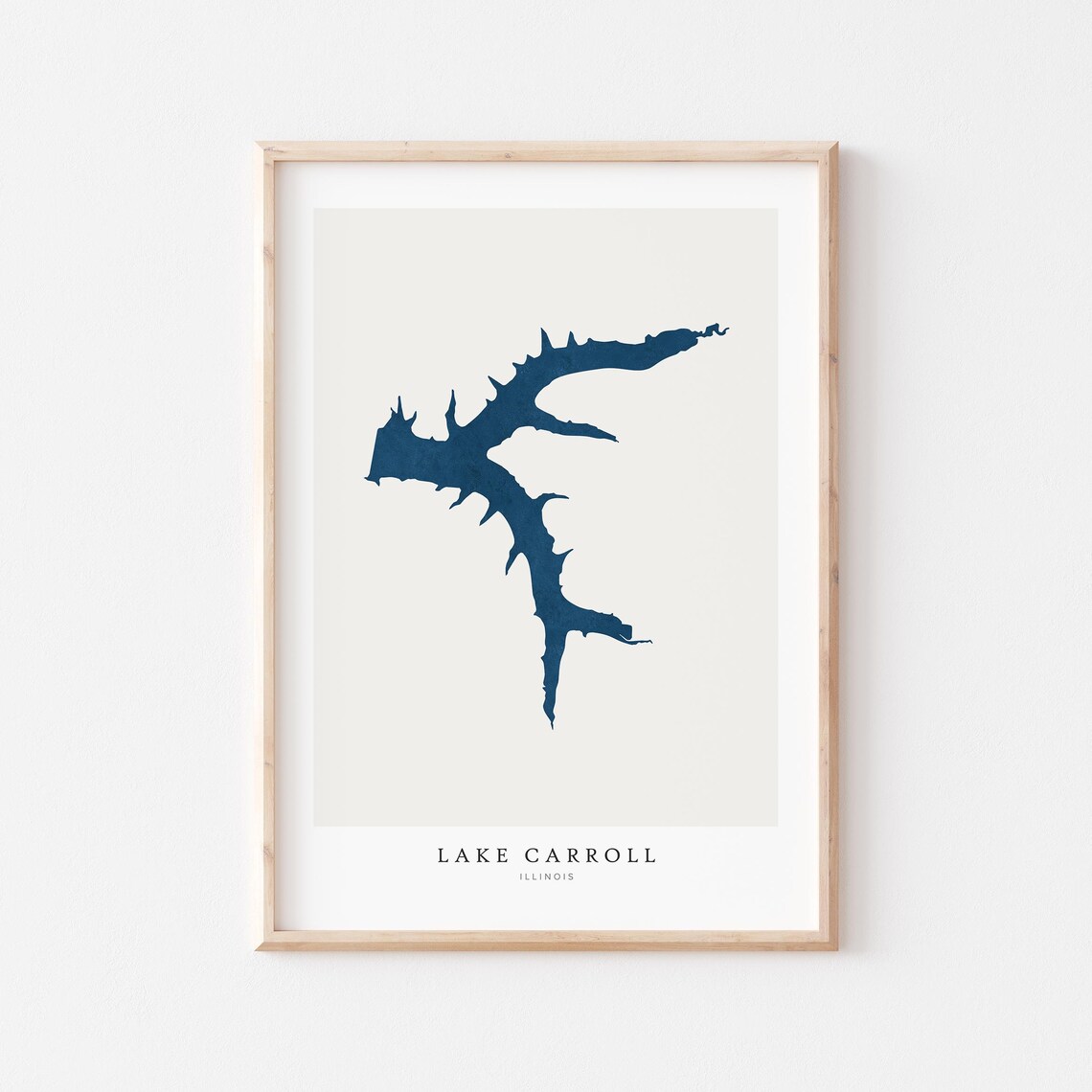 Lake Carroll Map Poster Print, Illinois