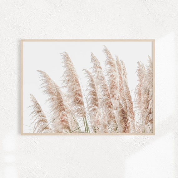 Farmhouse Pampas Grass Botanical Art Print