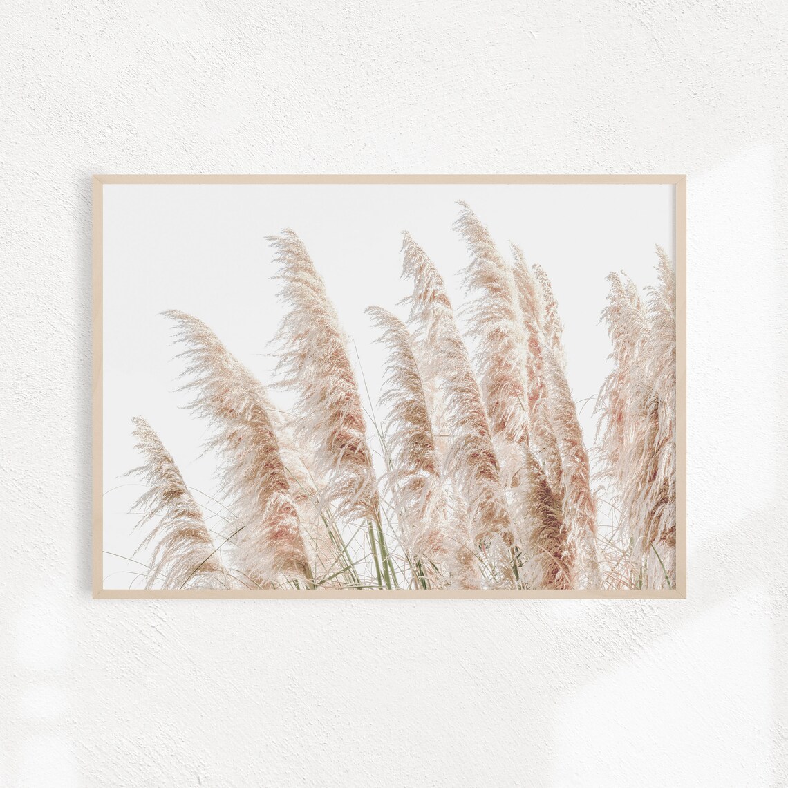 Farmhouse Pampas Grass Botanical Art Print