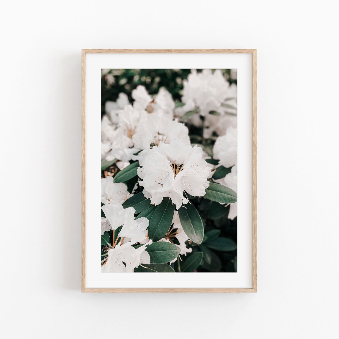 Rhododendron Botanical Art Print, Floral Wall Art - Image 3