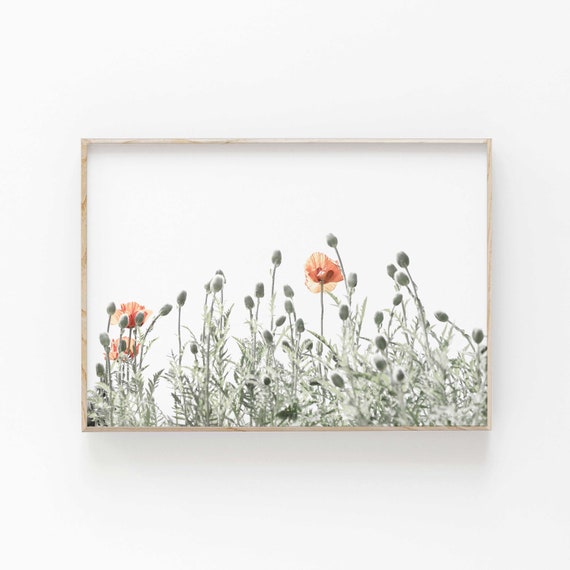 Poppy Print, Modern Minimalist Floral Art Print