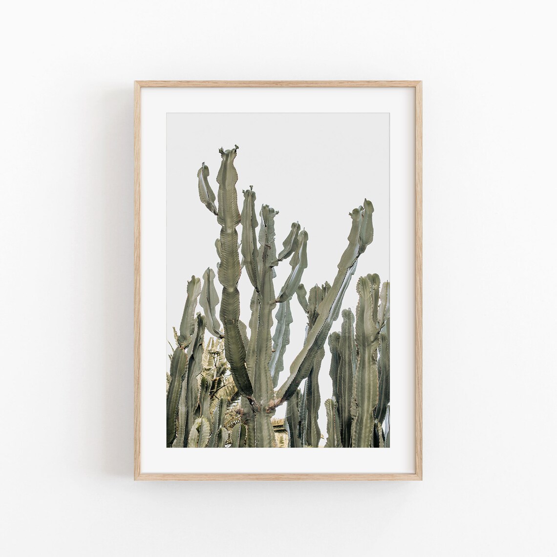 Cactus Print, Modern Minimalist Desert Art Print