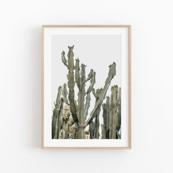 Cactus Print, Modern Minimalist Desert Art Print
