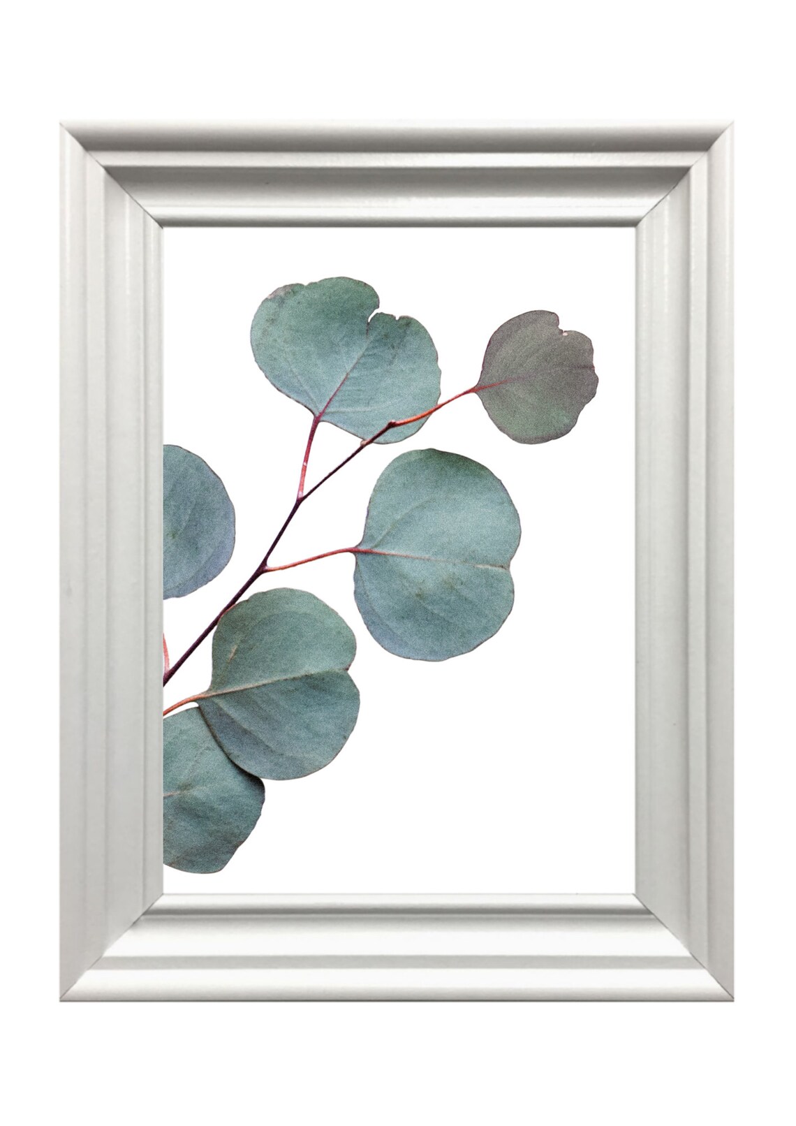 Eucalyptus Branch Minimal Botanical Photo Green Leaves Wall Print - Image 2