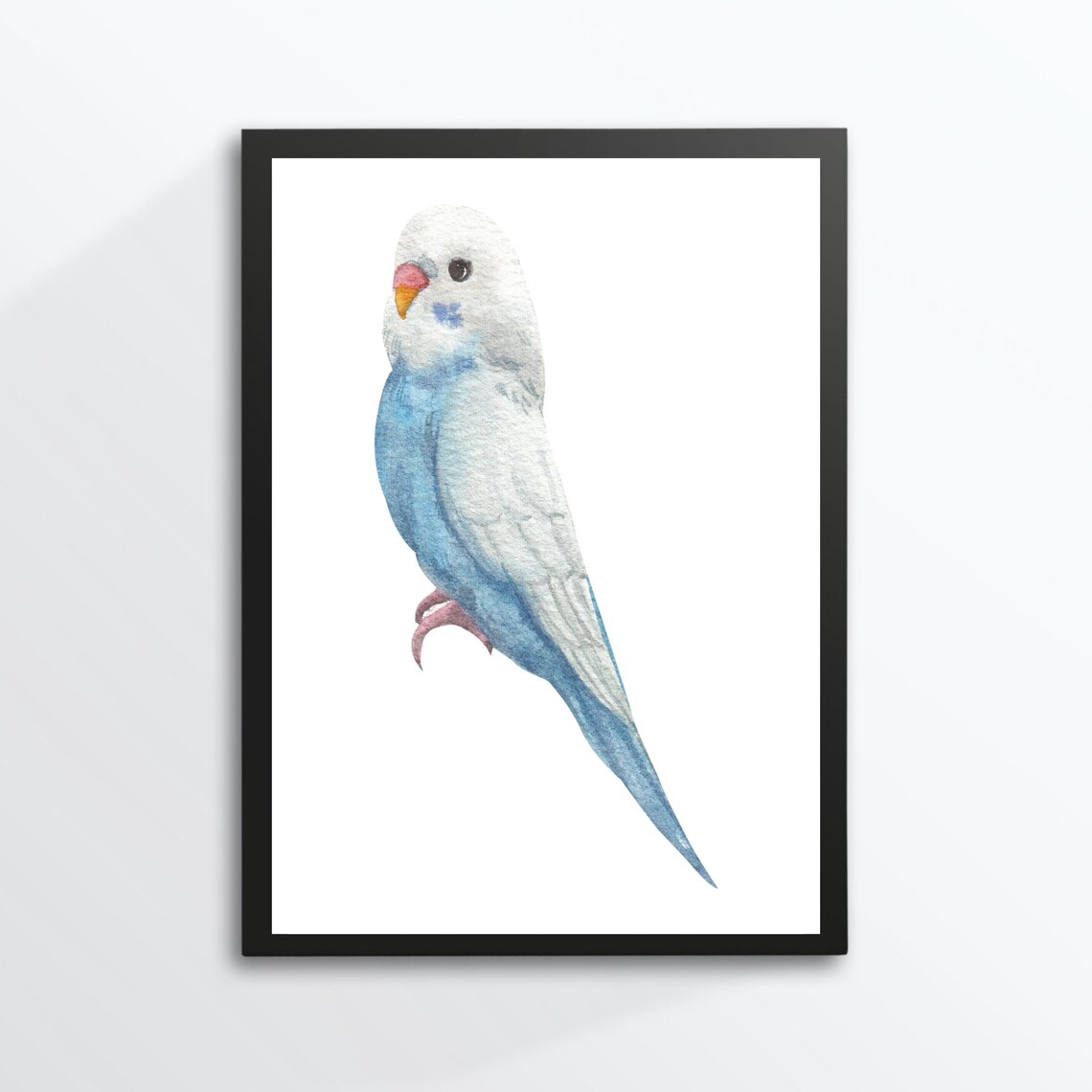 Blue and White Budgerigar Parakeet Watercolor Bird Portrait Art Poster