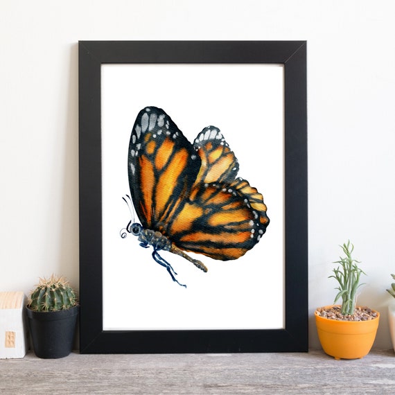 Din A4 Art Print Without Frame Large Butterfly Monarch Orange Butterfly Natural Watercolor Print Poster Image
