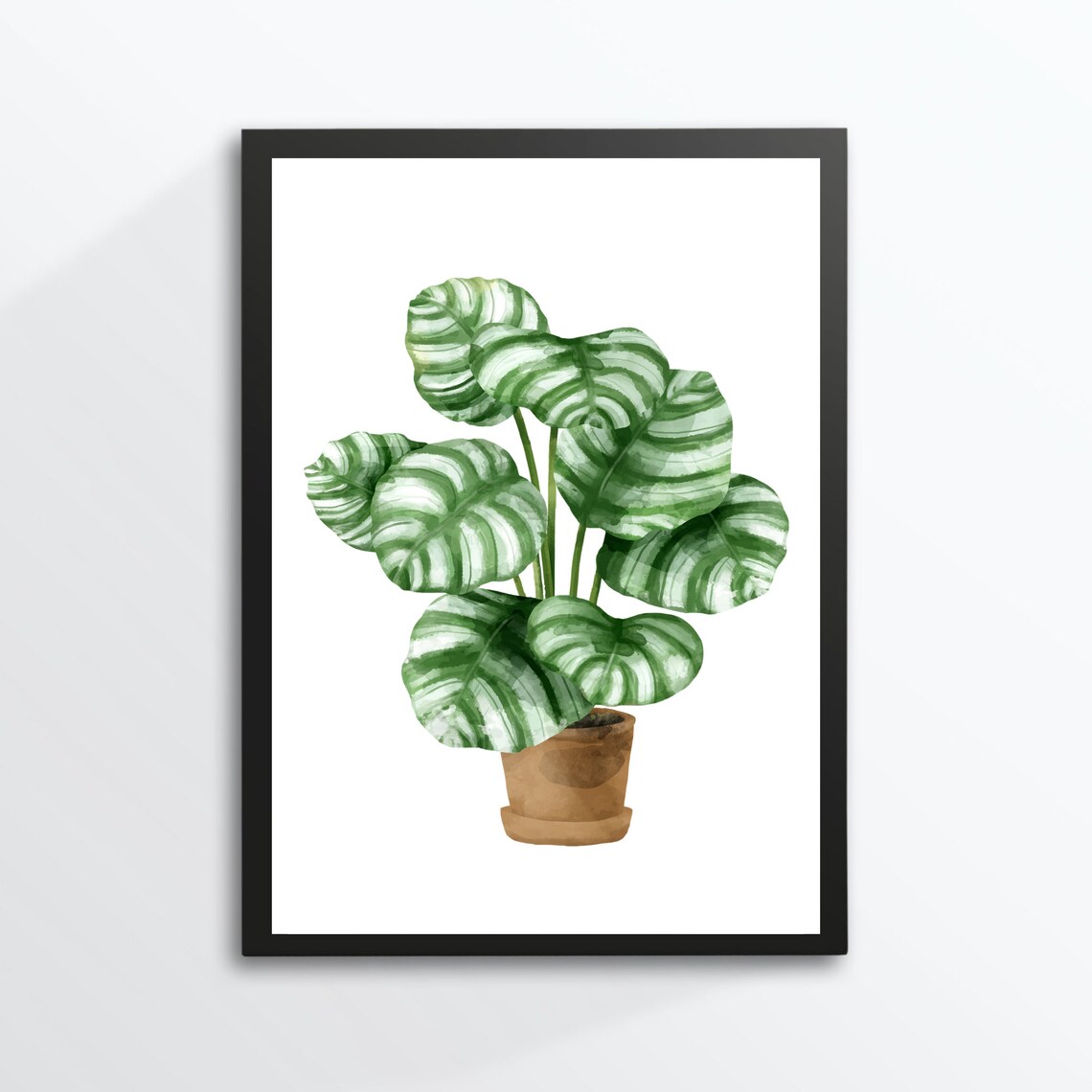 Calathea Prayer Plant Watercolor Potted Houseplant Art Print
