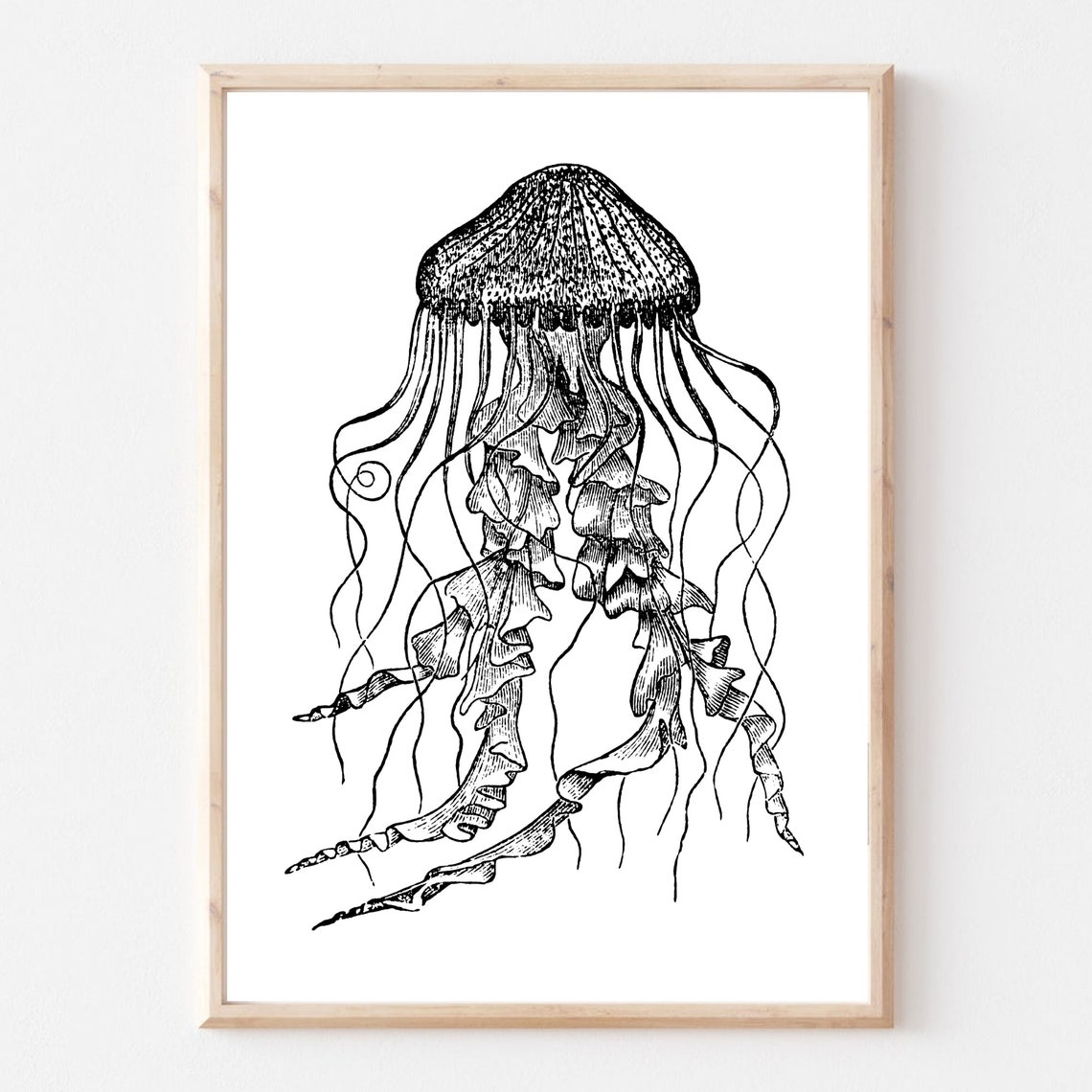 Jellyfish Sea Creature Vintage Ink Etching Drawing Art Print - Image 3