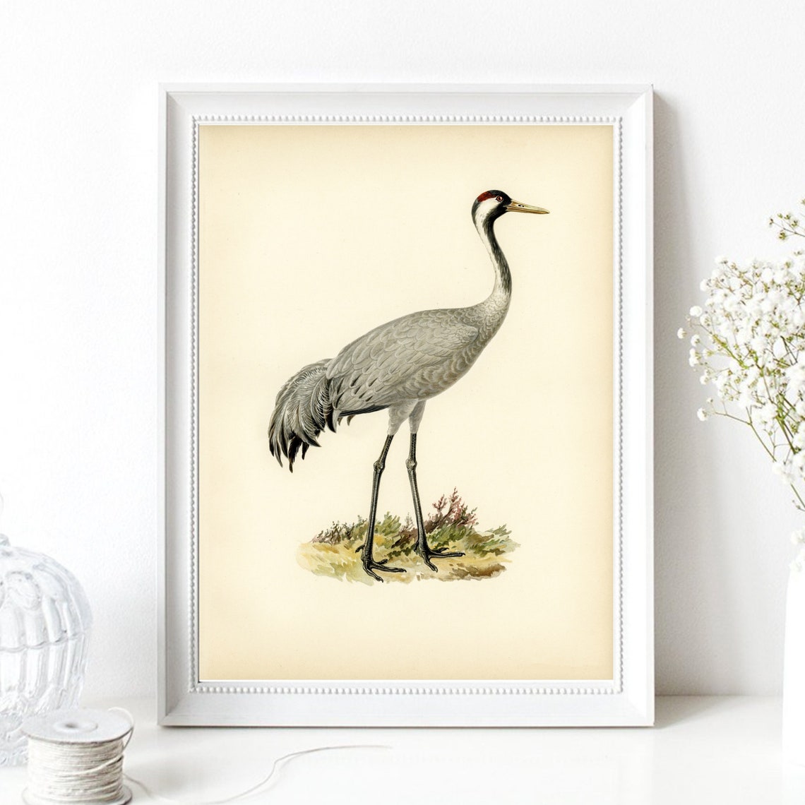 Vintage Grey Crane Bird Retro Naturalist Illustration Poster