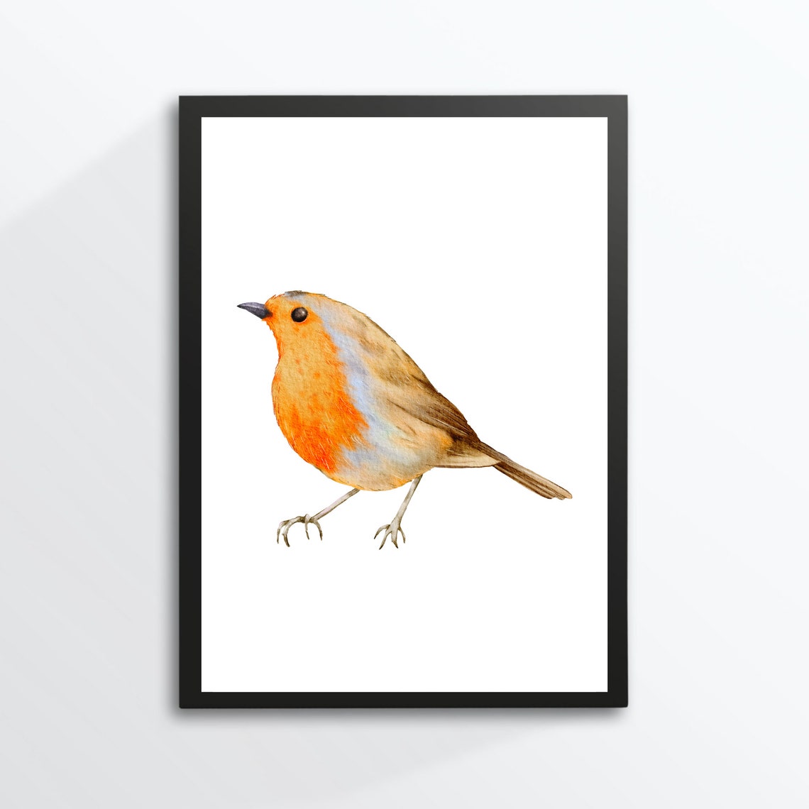 Robin Bird Nature Watercolor Art Print