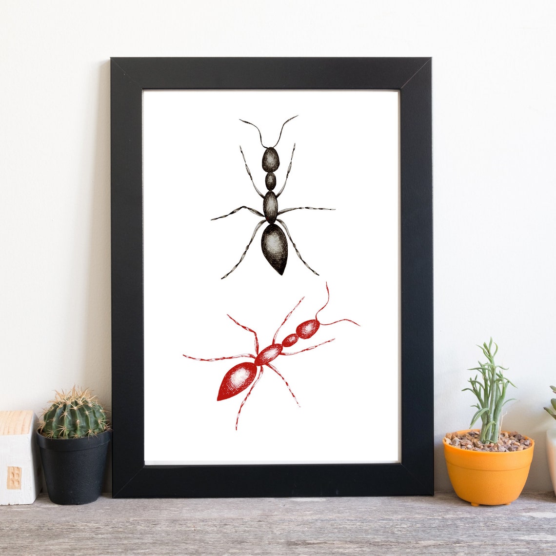 Din A4 Art Print Without Frame Red And Black Ant Ant Insect Nature Drawing Picture Poster Print