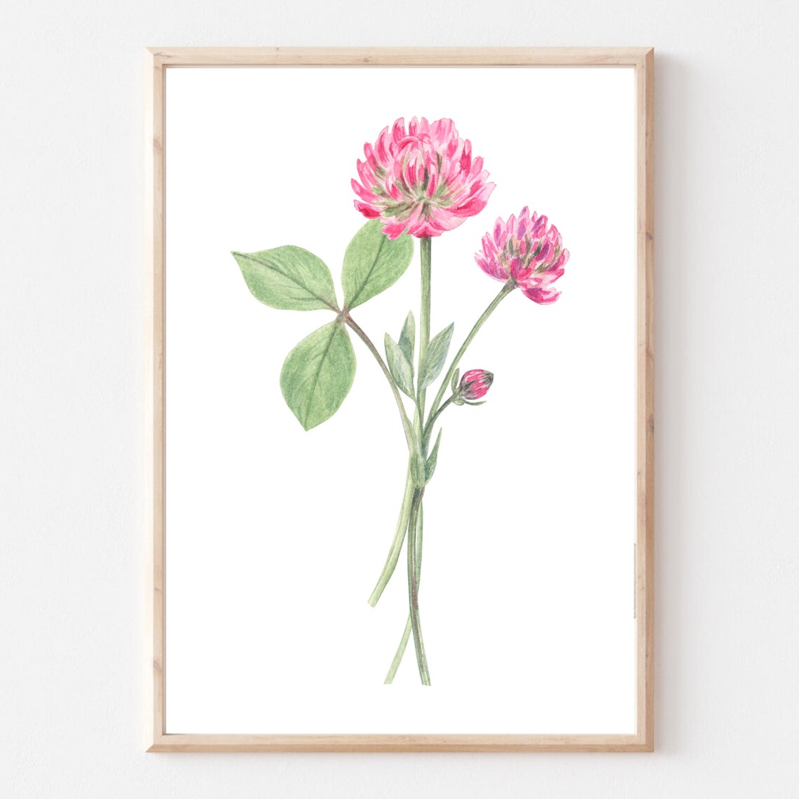 Pink Clover Blossom Watercolor Botanical Flower Art Print Wall Decor - Image 2