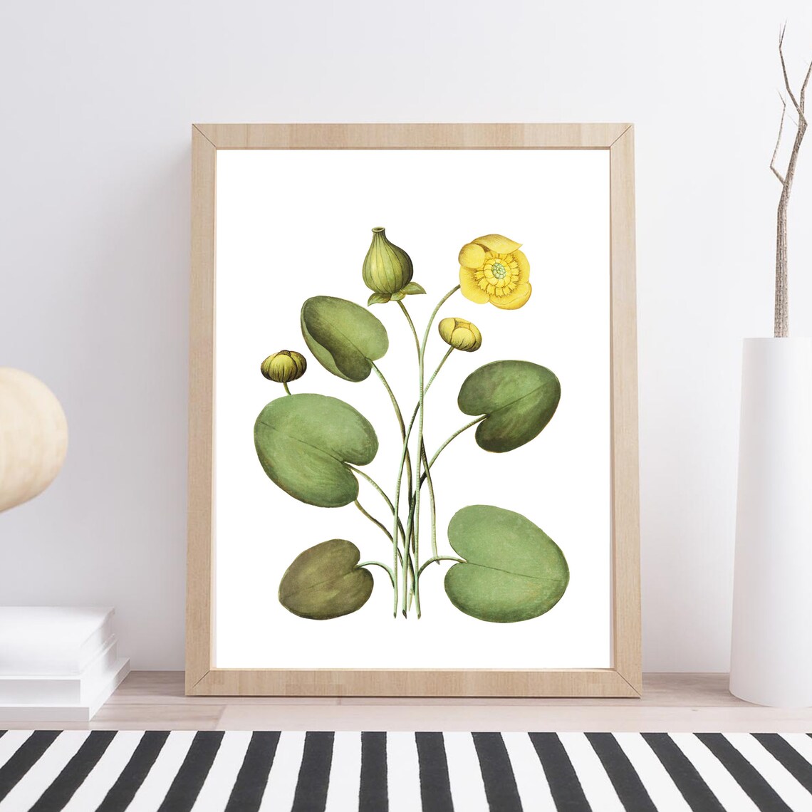 Yellow Marsh Marigold Vintage Botanical Flower Illustration Print