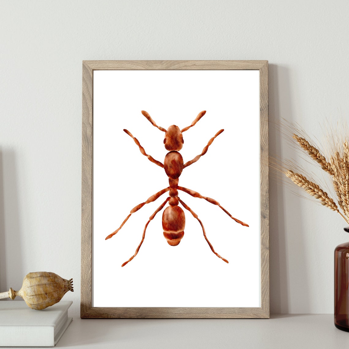 Red Ant Watercolor Close Up Insect Study Nature Illustration Poster - Image 2