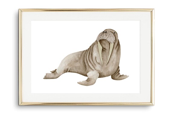 Walrus Watercolor Animal Illustration Neutral Nursery Wall Decor Poster