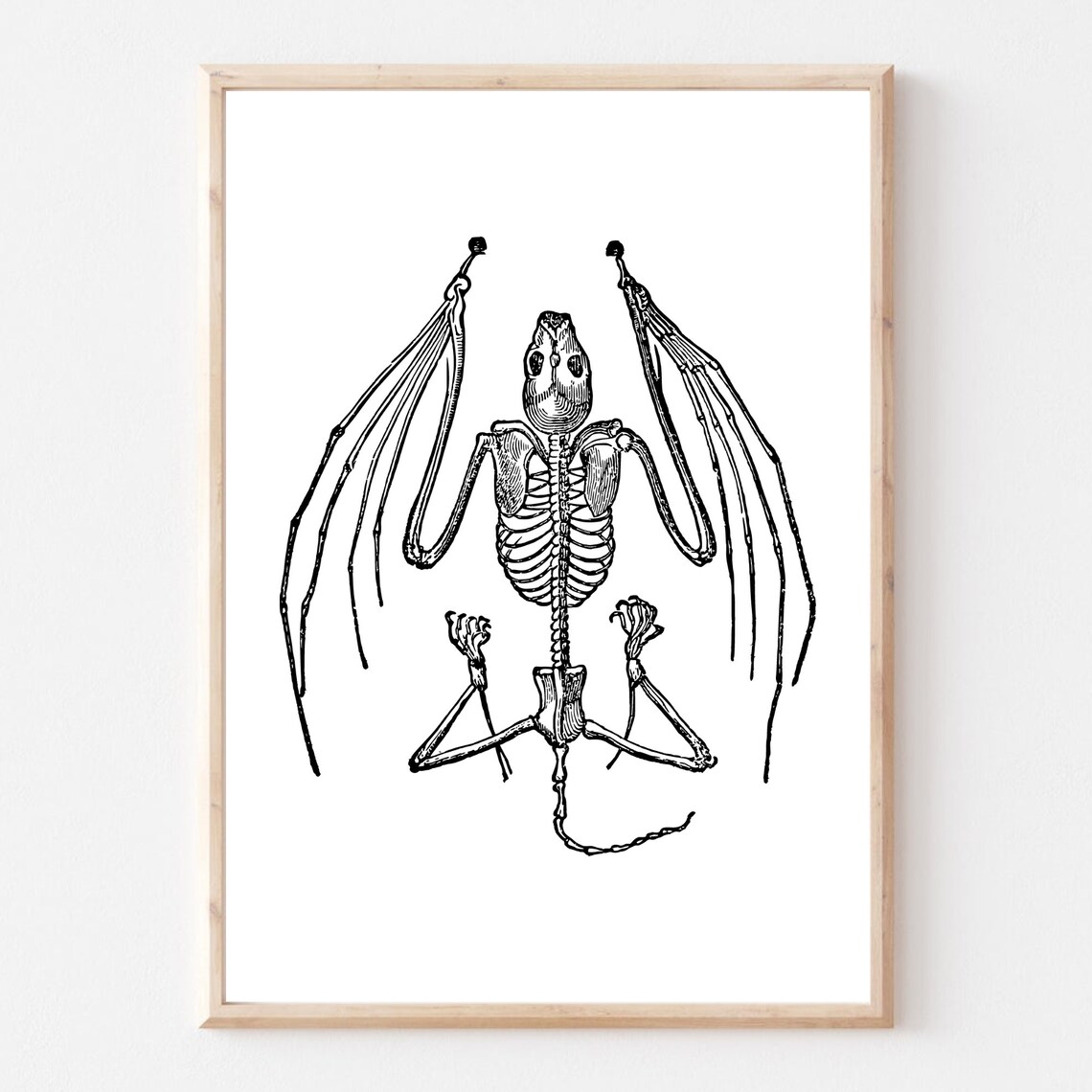 Bat Skeleton Anatomy Gothic Occult Vintage Scientific Drawing Poster - Image 3