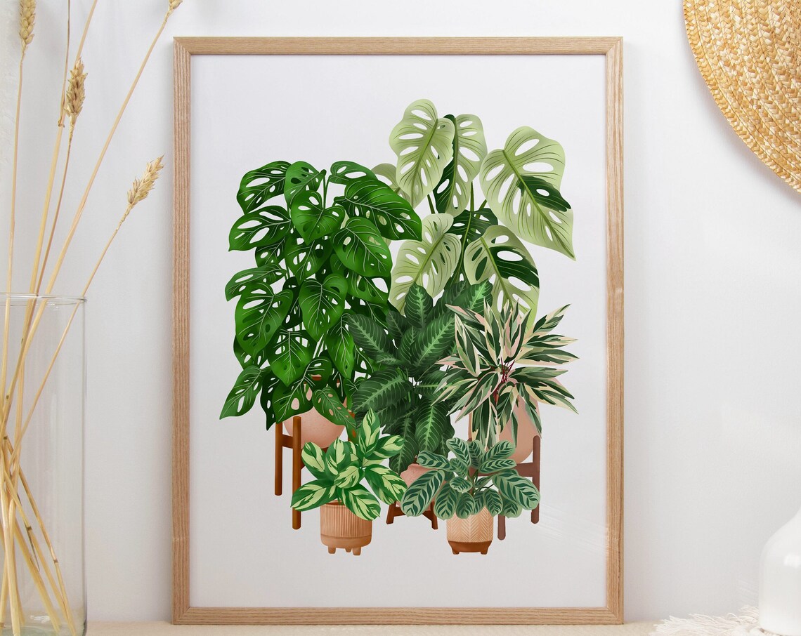 Monstera And Calathea In Terracotta Pots Poster Botanical Collection