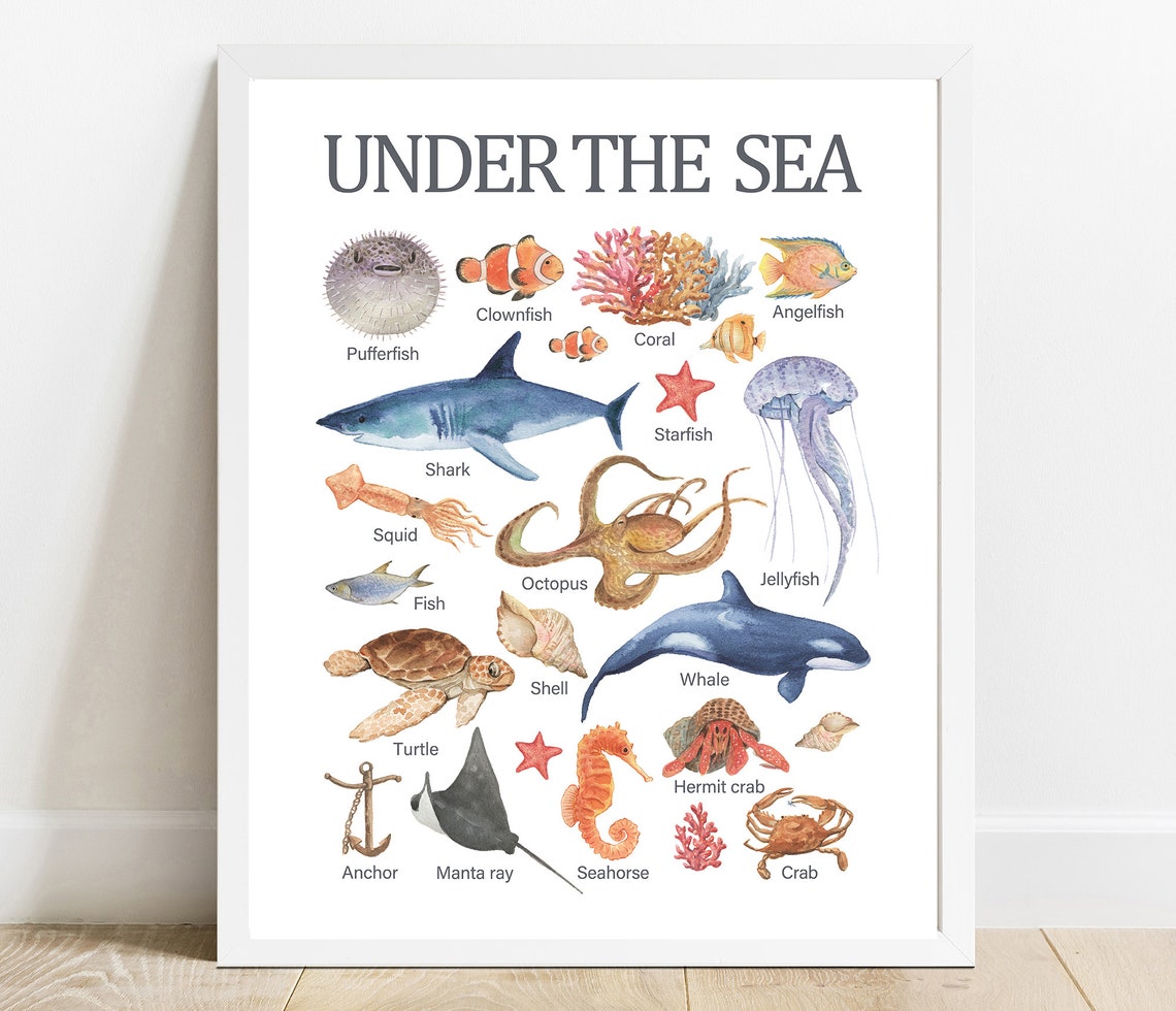 Under the Sea Educational Chart Watercolor Marine Animals Poster