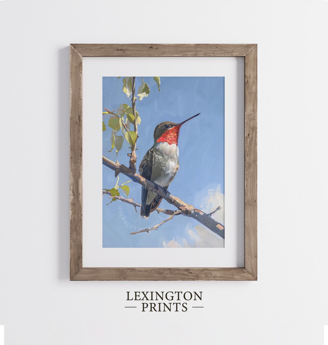 Ruby-Throated Hummingbird on Branch Blue Sky Summer Bird Poster - Image 5