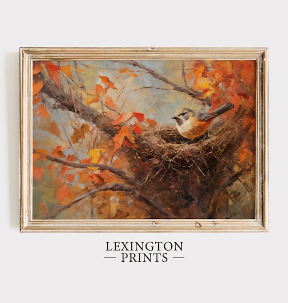 Small Bird In Nest Autumn Branches Orange Leaves Vintage Nature Poster