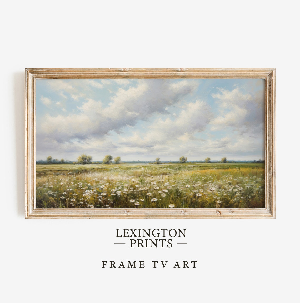 Spring Wildflower Field Under Blue Sky Blooming Frame TV Art Poster