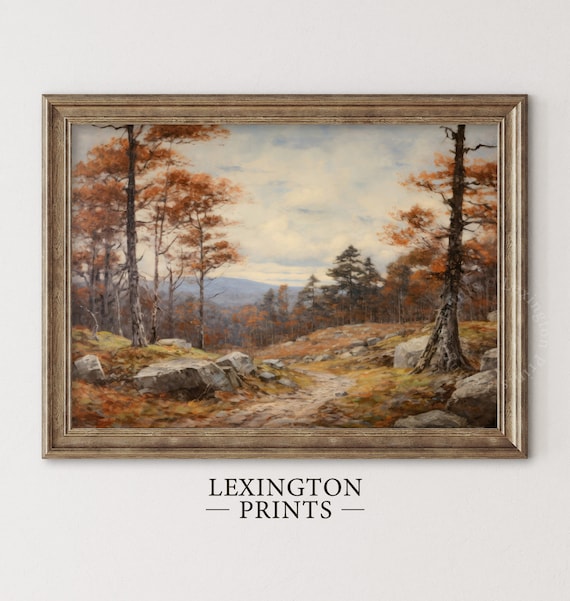 Rocky Autumn Path Through Orange Pine Forest Mountain View Landscape Poster