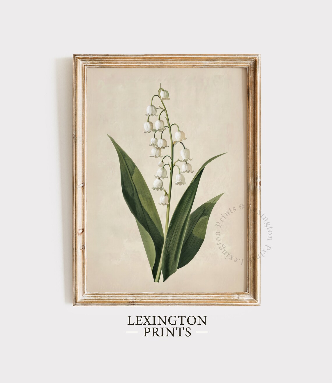 Lily Of The Valley Botanical White Flower Vintage Print Farmhouse - Image 6