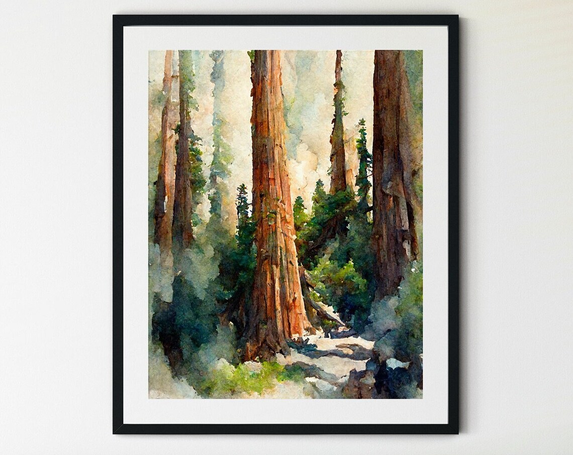 Sequoia National Park Mountain Art Print