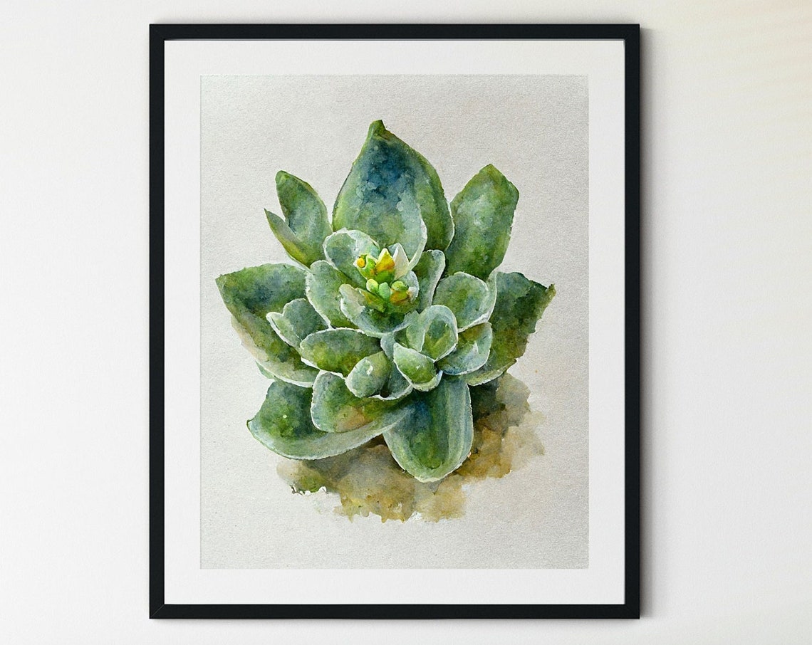 Succulent Watercolor Green Rosette Plant Botanical Style Poster